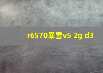 r6570暴雪v5 2g d3